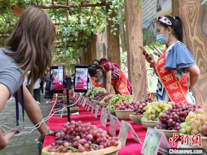 百余种葡萄出现在活动现场。吐鲁番葡萄种植面积达57万亩,年产葡萄120万吨,葡萄品种有500多种。胡嘉琛 摄 百余种葡萄出现在活动现场。吐鲁番葡萄种植面积达57万亩,年产葡萄120万吨,葡萄品种有500多种。胡嘉琛 摄