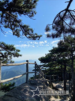 图片 8_副本_副本_副本_副本.png