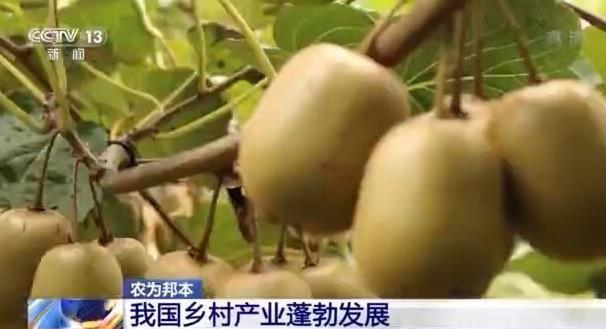 360截图20210922120140028.jpg