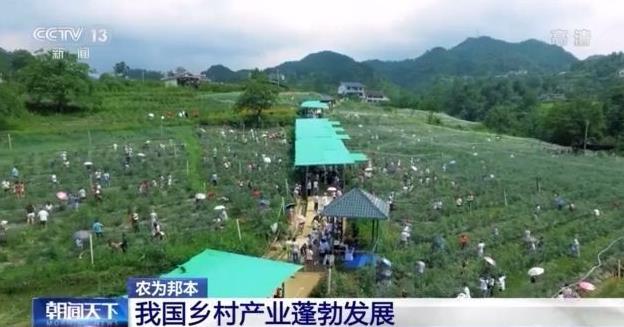 360截图20210922120207390.jpg