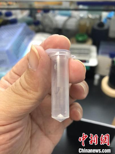 中科院天津工业生物技术研究所科研人员在实验室展示人工合成淀粉样品。中科院科技摄影联盟 供图 中科院天津工业生物技术研究所科研人员在实验室展示人工合成淀粉样品。中科院科技摄影联盟 供图