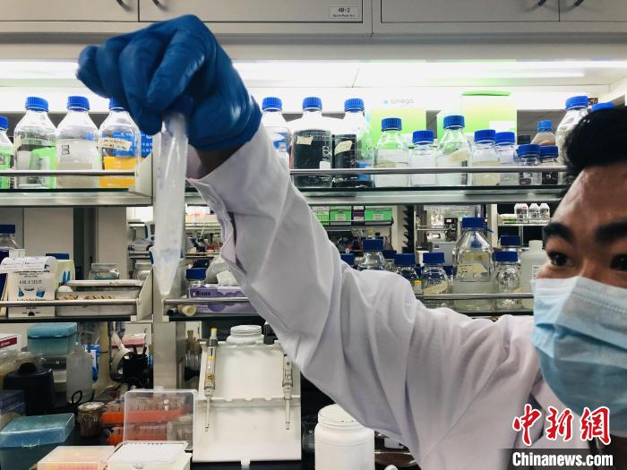 中科院天津工业生物技术研究所蔡韬副研究员在实验室展示人工合成淀粉样品。中科院科技摄影联盟 供图 中科院天津工业生物技术研究所蔡韬副研究员在实验室展示人工合成淀粉样品。中科院科技摄影联盟 供图