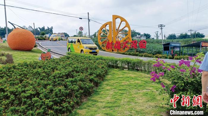 图为宜宾市江安县“金通工程”客运车辆行驶在乡村公路上。王鹏 摄 图为宜宾市江安县“金通工程”客运车辆行驶在乡村公路上。王鹏 摄