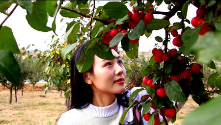 东蒙镇1.png