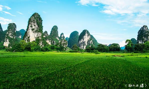 360截图20211124141211271.jpg
