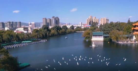 360截图20211125114537959.jpg