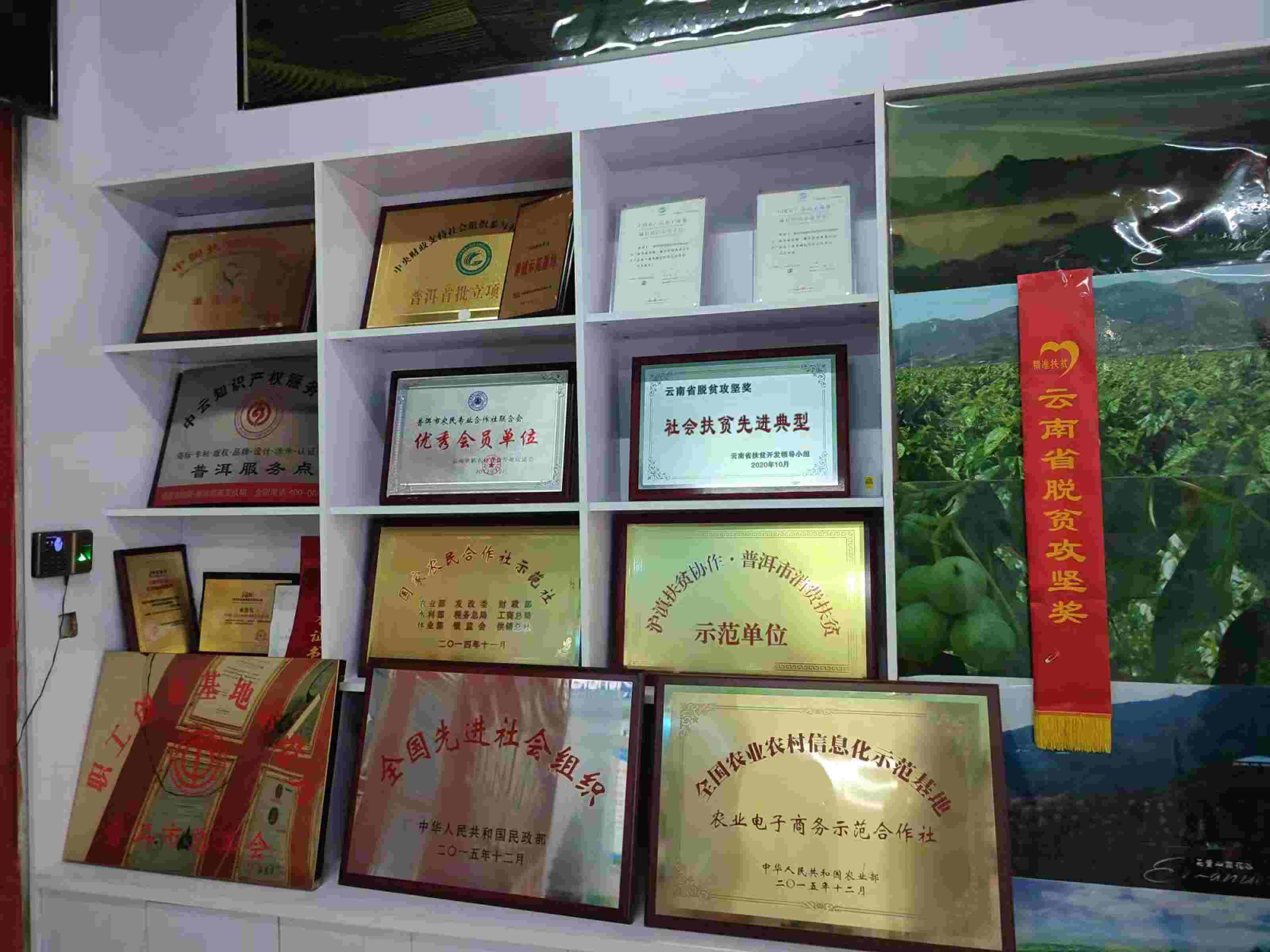 荣誉_new.jpg