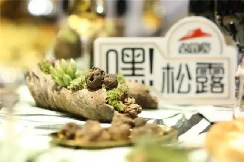 图片12(1).png
