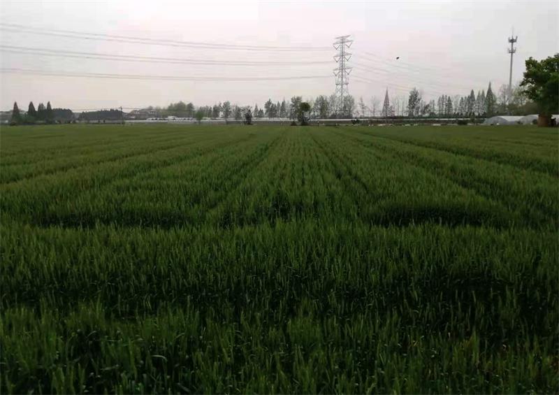 微信图片_20220129095629.jpg