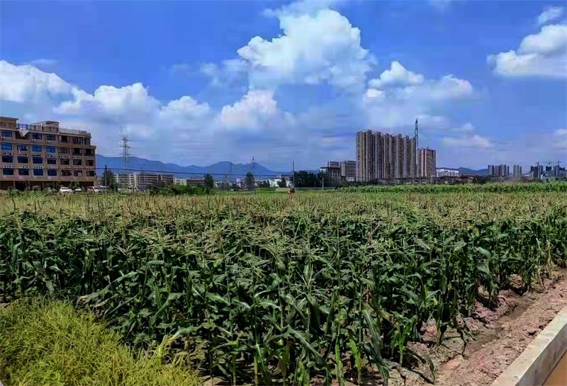 微信图片_20220129095634.jpg