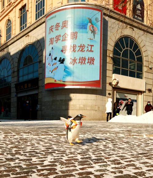 微信图片_20220215103053.jpg