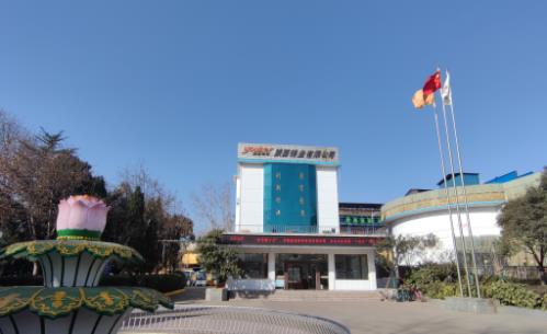 02.jpg