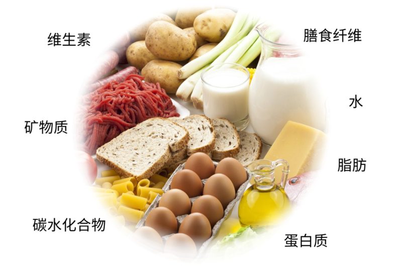 微信图片_20220518082934.png