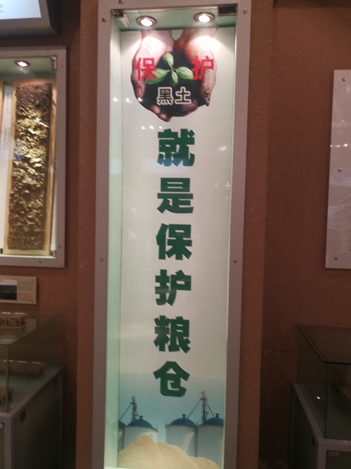 8570f444130efab5739c8565567cc97.jpg