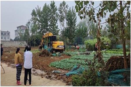 fe0f720a4a64be7344459c9932f5daf.jpg