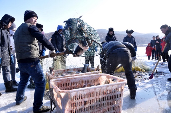 清河水库冬捕.jpg