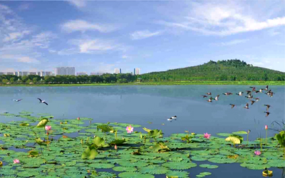 莲花湖凤冠山.jpg
