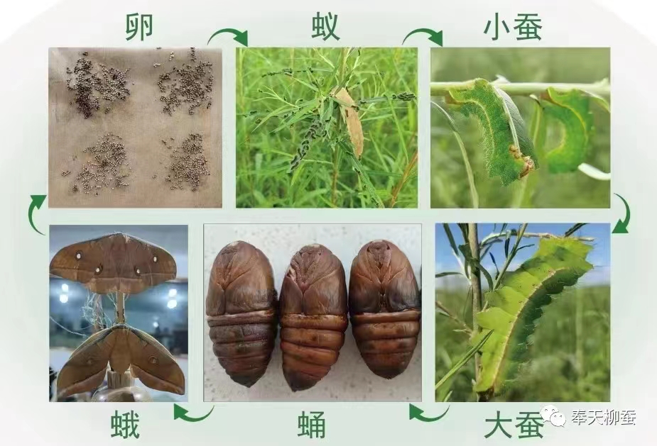 微信图片_202304171019492.jpg