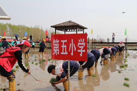 d641296a219eceef39e4dccf63fe77e.jpg