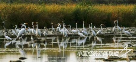 环境日4).jpg