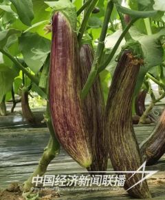云沣公司4).jpg