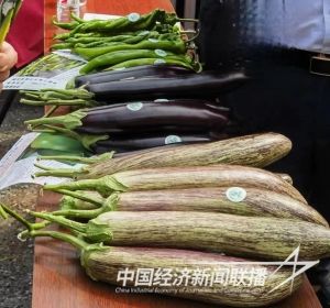 云沣公司3).jpg