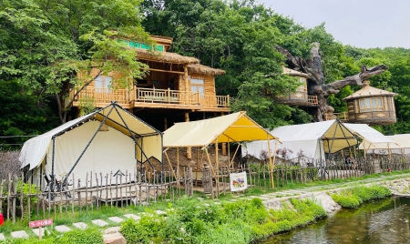 老院长鸟巢4).jpg