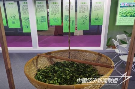 大连博览会7).jpg