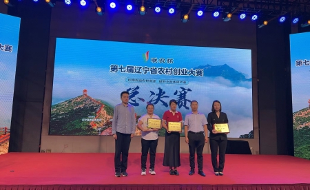 老院子获奖2).jpg