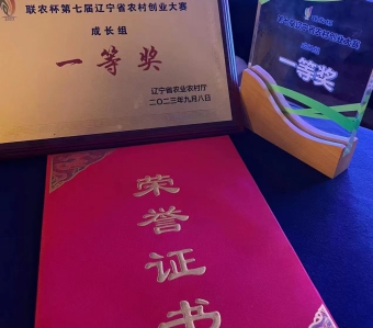 老院子获奖7).jpg
