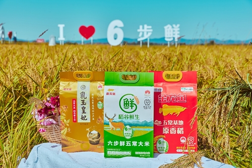 图片5.jpg