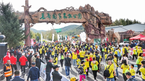 图片15.jpg