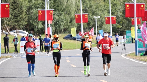图片16(1).jpg