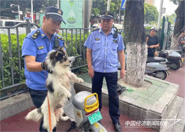 微信图片_20231020115042.jpeg