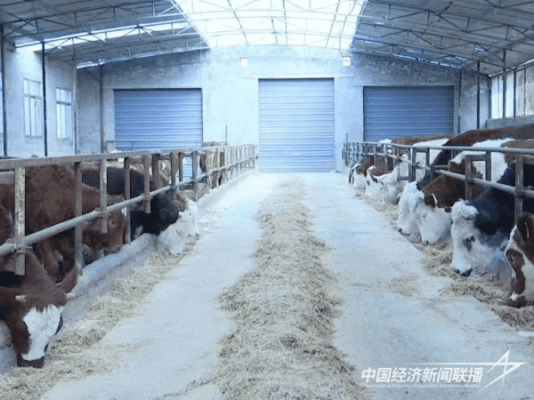 图片3_new.png