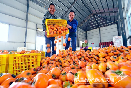 QQ图片20231107221136.png