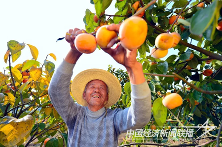 QQ图片20231107221131.png