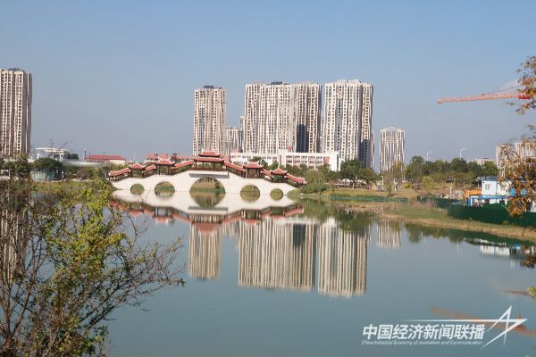 20231123华安3.jpeg