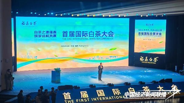 20231201白茶大会4.jpeg