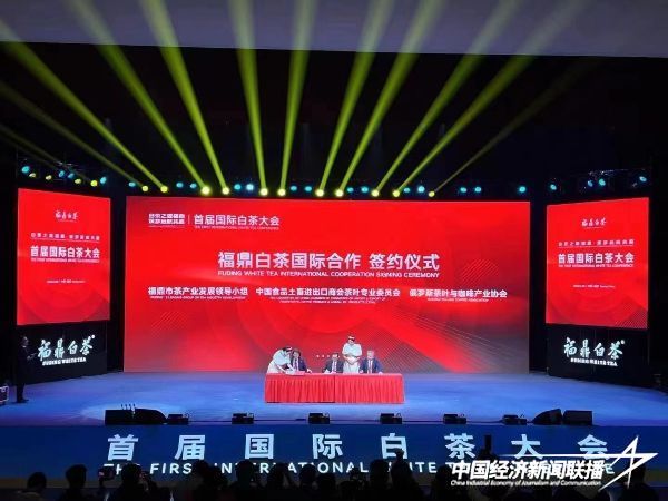 20231201白茶大会8.jpeg