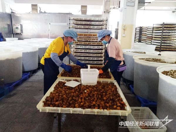 20231226 中经联播走进李果之乡永泰顺达食品2.jpg?v=1703601322