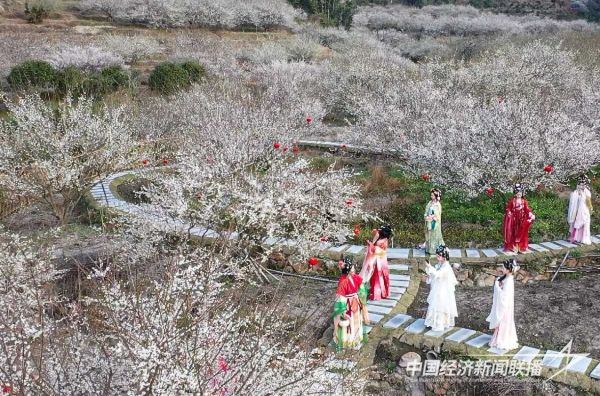 20231228 永泰李梅文化节2.jpg?v=1703752993