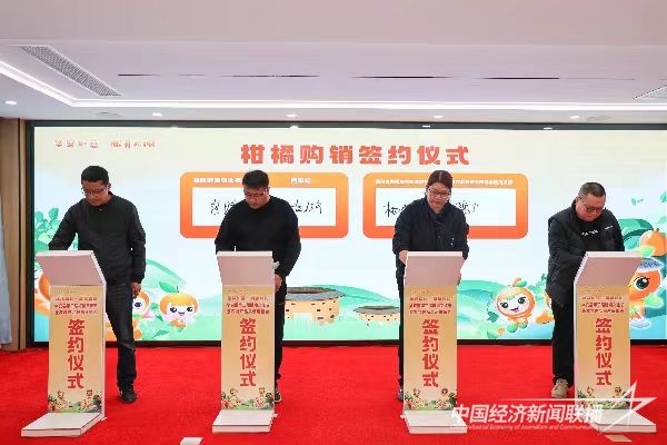 20240104 华安县第二届柑橘文化节6.jpg?v=1704339313