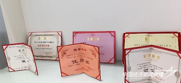 20240115  蔡克修&黄建军强强联手：探索“茶旅融合”新模式11.jpg?v=1705310814