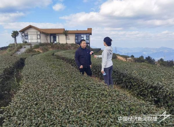 20240115 蔡克修&黄建军强强联手:探索“茶旅融合”新模式12.jpg?v=1705310814