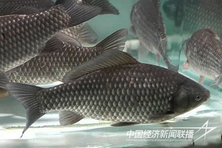 QQ图片20240118101103.png