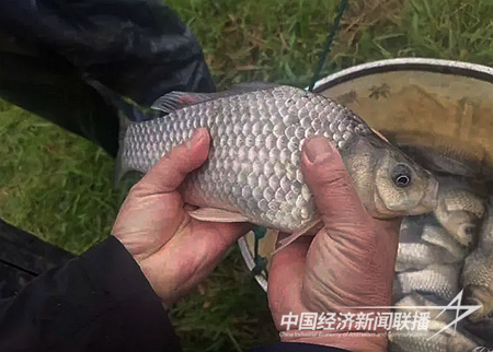 QQ图片20240118101023.png