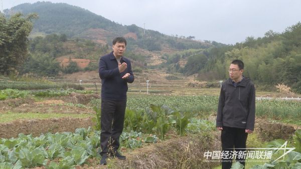 20240124 华安县委书记调研指导防寒防冻工作1.jpeg
