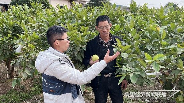 20240125 漳州科技职业学院开展高素质农民跟踪服务与指导2.jpg?v=1706152147