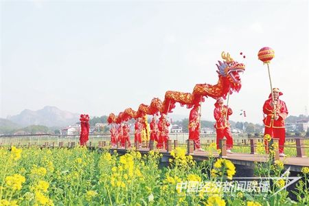 2月10日,一条长龙游走在石城县屏山镇长溪村的油菜花地.jpg?v=1708349014